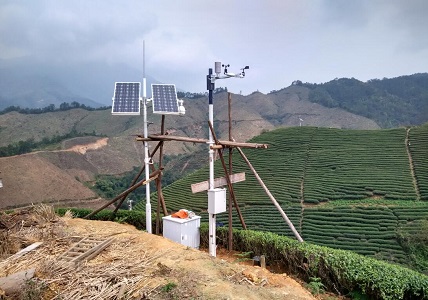 信阳茶园引进新航娱乐自动气象站实现了对茶园的标准化管理